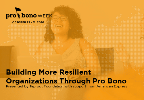 Building More Resilient Organizations Through Pro Bono